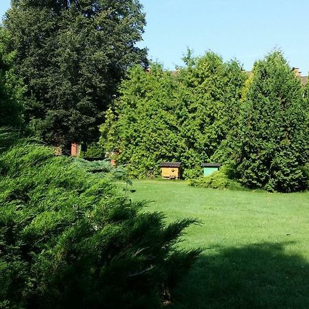 Kwiatowa Zagroda Białowieża 外观 照片