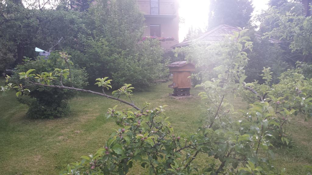 Kwiatowa Zagroda Białowieża 外观 照片