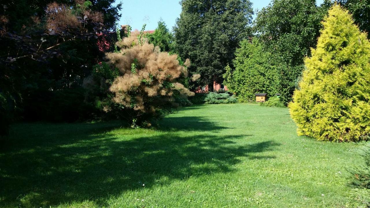 Kwiatowa Zagroda Białowieża 外观 照片
